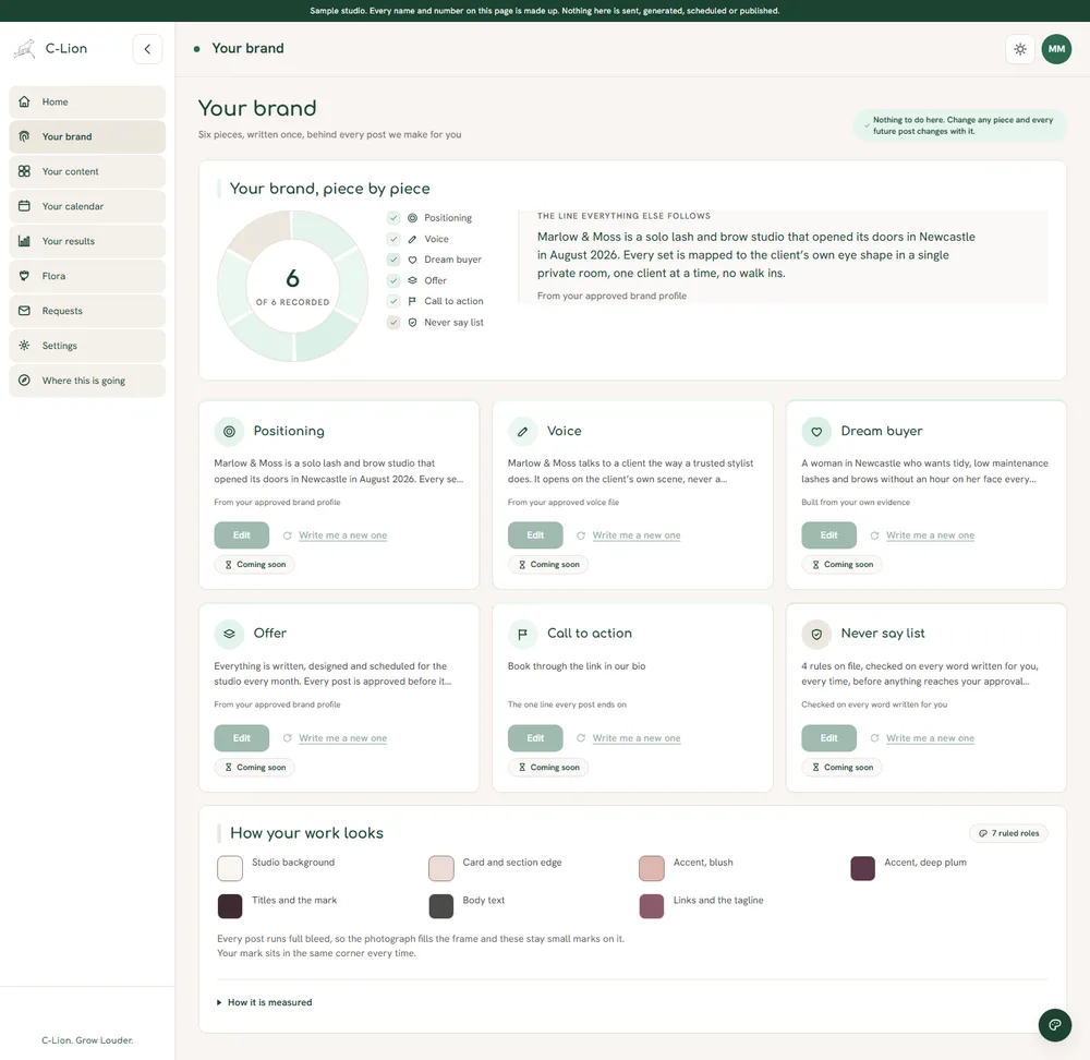 Sample studio dashboard, brand profile: positioning, voice, dream buyer, offer