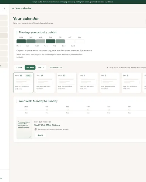 The C-Lion dashboard