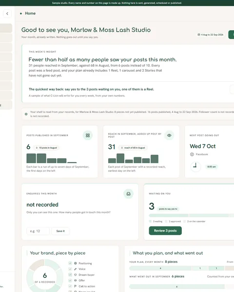 The C-Lion dashboard