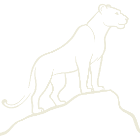 C-Lion